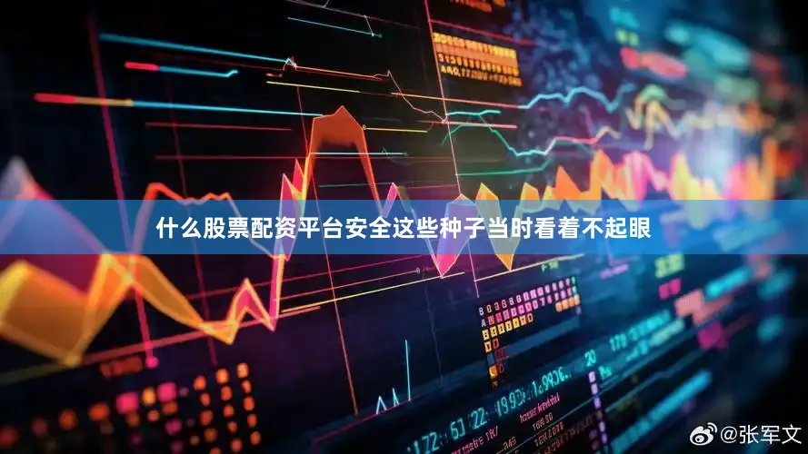 什么股票配资平台安全这些种子当时看着不起眼