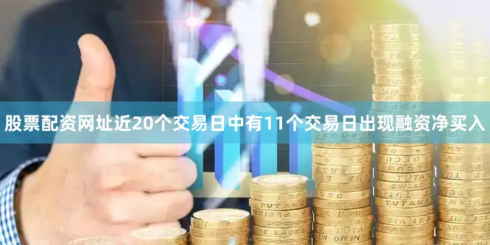 股票配资网址近20个交易日中有11个交易日出现融资净买入
